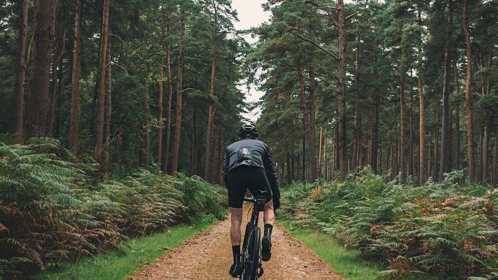 Gravel Bike kaufen