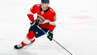 Eishockeyspieler Dmitry Kulikov spielt für die Florida Panthers