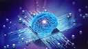 Ein Test soll das Demenz- und Schlaganfall-Risiko vorhersagen (Brain Care Score)