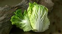 Chinakohl gesund