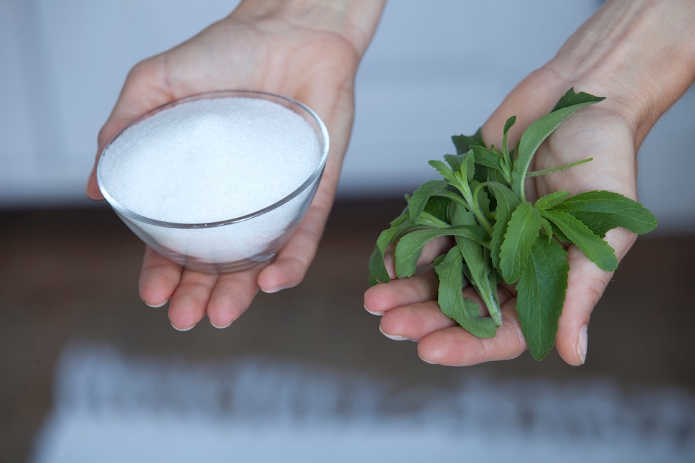 Studie zeigt den Effekt des Süßstoffs Stevia auf das Gehirn