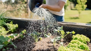 Gartenarbeit gesund