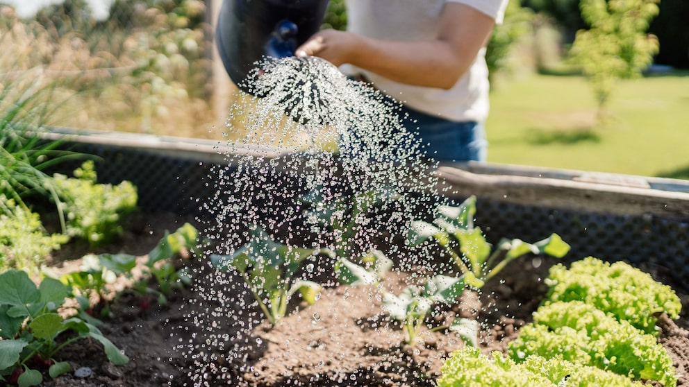 Gartenarbeit gesund