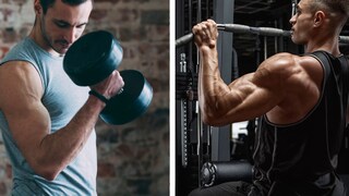 Was ist besser für den Muskelaufbau – Training mit Freihanteln oder an Geräten?