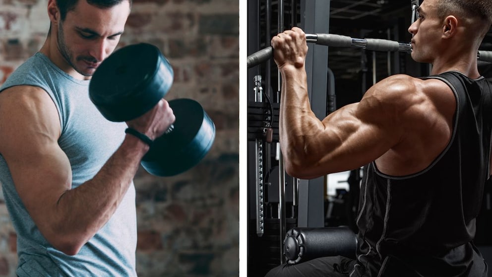 Was ist besser für den Muskelaufbau – Training mit Freihanteln oder an Geräten?