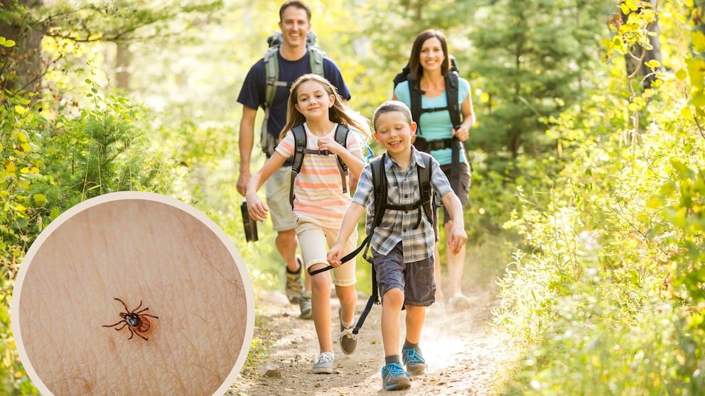 Familien beim Outdoor-Sport sollten sich vor Zeckenbissen schützen.