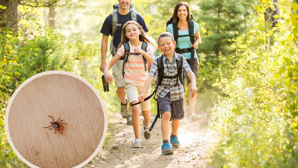 Familien beim Outdoor-Sport sollten sich vor Zeckenbissen schützen.