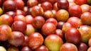 Camu Camu – ein Helfer bei Fettleber?