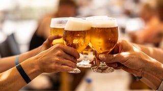 Gesellschaft Alkohol Gehirn
