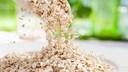 Haferflocken sind gute Vitamin-B6-Lieferanten
