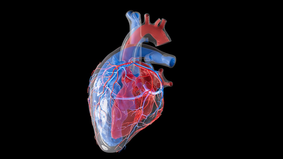Eine Herzmuskelentzündung ist nicht einfach zu diagnostizieren, was sie umso gefährlicher macht