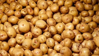 Kartoffeln zählen zu den vergleichsweise kalorienarmen Kohlenhydratquellen