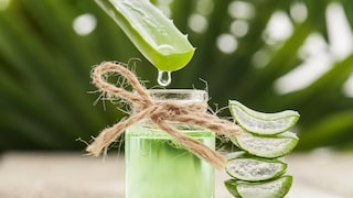 Botanical Drinks werden mit pflanzlichen Aromen (Botanicals) hergestellt und ahmen Spirituosen nach – als alkoholfreie Varianten