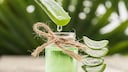 Botanical Drinks werden mit pflanzlichen Aromen (Botanicals) hergestellt und ahmen Spirituosen nach – als alkoholfreie Varianten