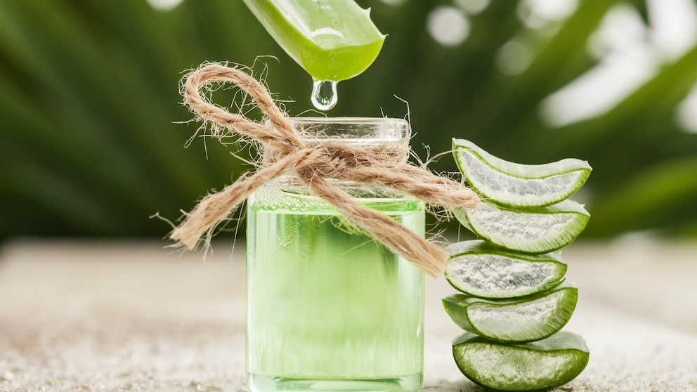 Botanical Drinks werden mit pflanzlichen Aromen (Botanicals) hergestellt und ahmen Spirituosen nach – als alkoholfreie Varianten