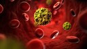Norovirus