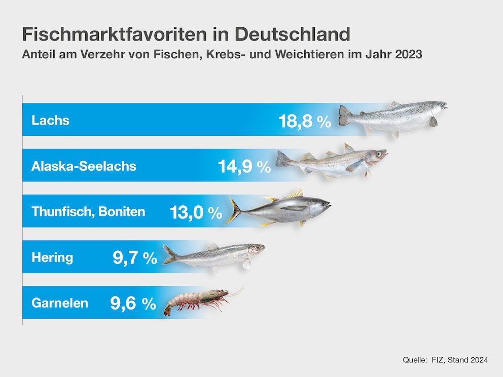 Die fünf beliebtesten Speisefische der Deutschen