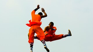 Zwei Männer die Kung-Fu machen