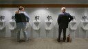 Urinieren am Pissoir in Gesellschaft kann für viele unangenehm sein