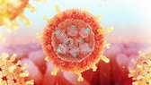 Rotavirus