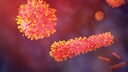 Anzeichen einer Infektion mit dem RS.-Virus und für wen es gefährlich werden kann