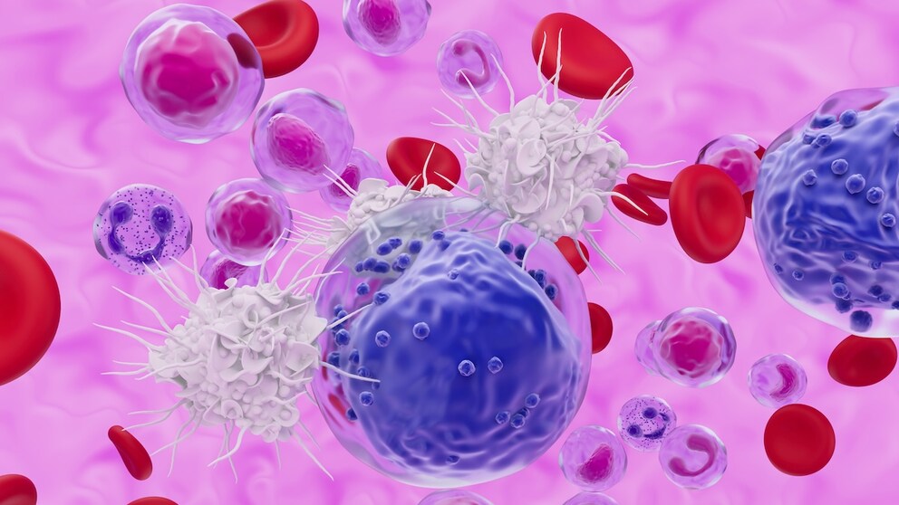 Eine bestimmte Ernährungsform greift das Immunsystem an
