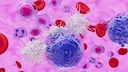 Eine bestimmte Ernährungsform greift das Immunsystem an