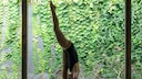 Eine Frau macht den Standing Split