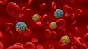 Cholesterin soll mit Demenz im Zusammenhang stehen