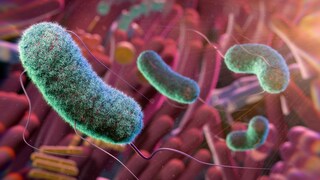 kurzkettige Fettsäuren Gesundheit