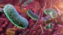 kurzkettige Fettsäuren Gesundheit