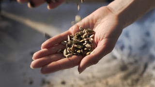Seed Cycling