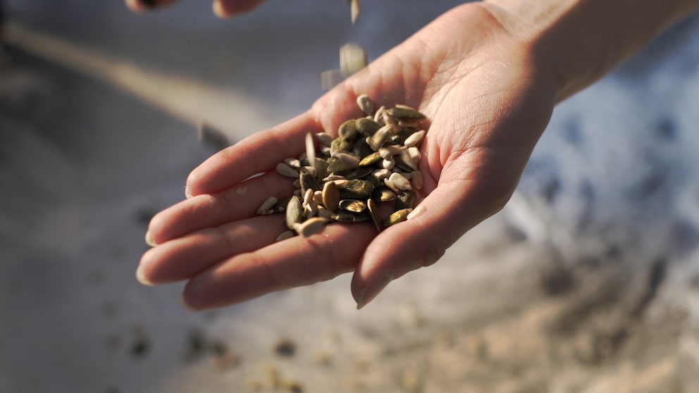 Seed Cycling