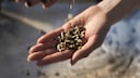 Seed Cycling