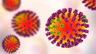 Die Vogelgrippe wird durch eine Infektion mit dem Influenzavirus –Typ A/H5N1 verursacht