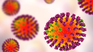 Die Vogelgrippe wird durch eine Infektion mit dem Influenzavirus –Typ A/H5N1 verursacht