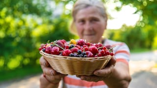 Flavonoide gesund altern