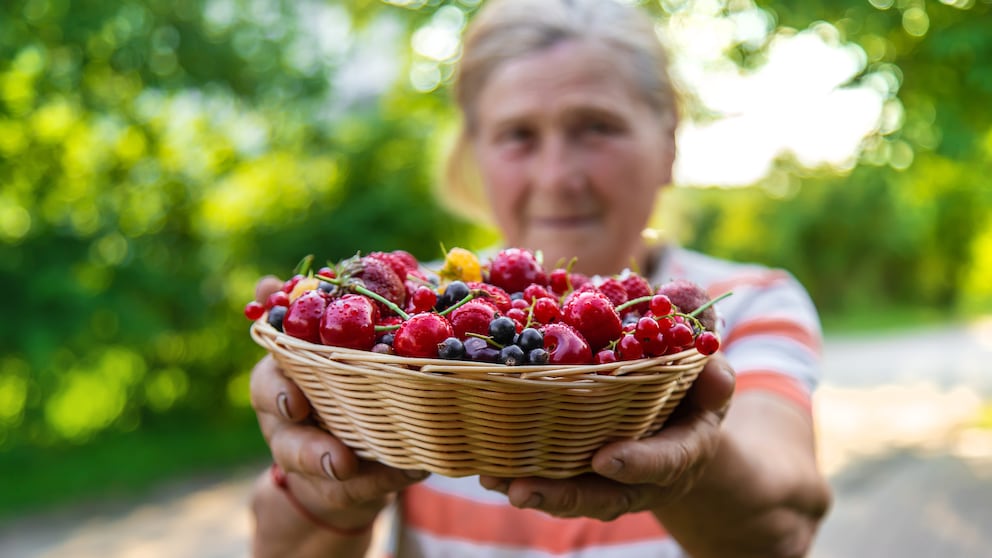 Flavonoide gesund altern
