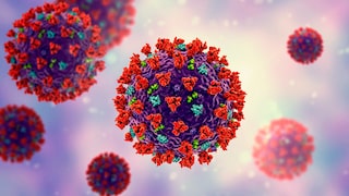 Coronavirus