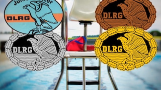 die deutschen Rettungsschwimmabzeichen