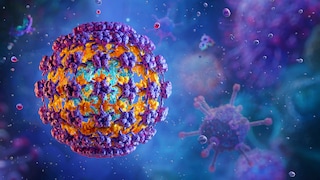 HPV