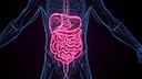 St&auml;ndig Bauchschmerzen, Bl&auml;hungen und Durchfall? Dann k&ouml;nnten Sie vom Leaky-Gut-Syndrom betroffen sein.