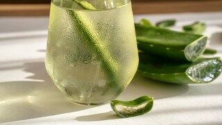 Aloe Vera gesund