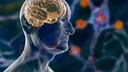 Es gibt zahlreiche Ursachen f&uuml;r eine Demenz &ndash; Alzheimer ist eine davon.
