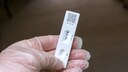 &bdquo;Nimbus&ldquo;, XFG oder auch &bdquo;Frankenstein&ldquo;-Variante genannt, verbreitet sich in Deutschland.