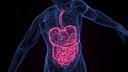 Fr&uuml;hst&uuml;ck weglassen? Risiko f&uuml;r metabolisches Syndrom steigt
