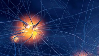 Es gibt einige Frühwarnzeichen von MS