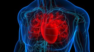 Neue Daten deuten auf einen möglichen Zusammenhang zwischen Grippe, Covid-19 und Herz-Kreislauf-Problemen hin.