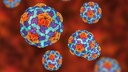 Hepatitis-A-Ausbruch in Tschechien: droht Gefahr f&uuml;r Deutschland?