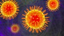 Grippewelle 2025: H3N2-Variante breitet sich aus